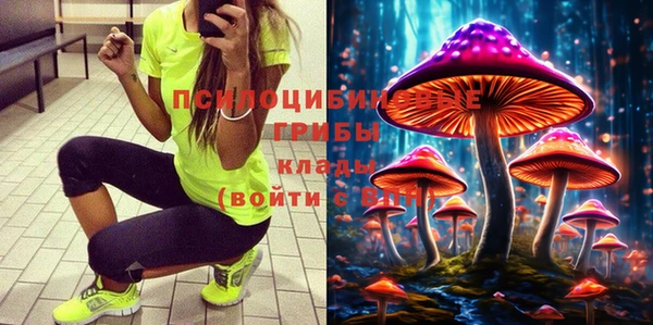 ГАЛЛЮЦИНОГЕННЫЕ ГРИБЫ Бородино