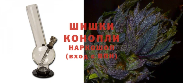 ГАЛЛЮЦИНОГЕННЫЕ ГРИБЫ Бородино