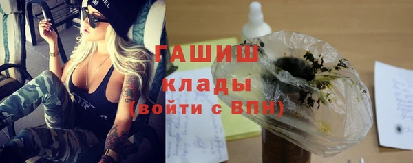 ГАЛЛЮЦИНОГЕННЫЕ ГРИБЫ Бородино