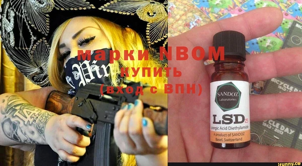 ГАЛЛЮЦИНОГЕННЫЕ ГРИБЫ Бородино