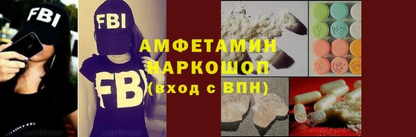 ГАЛЛЮЦИНОГЕННЫЕ ГРИБЫ Бородино