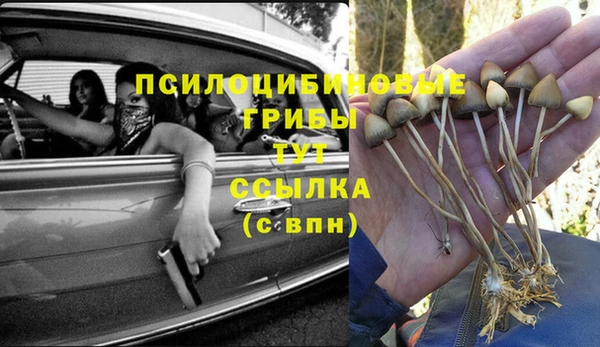 spice Бронницы