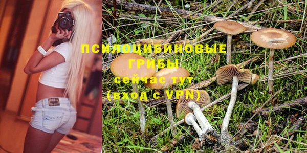 ГАЛЛЮЦИНОГЕННЫЕ ГРИБЫ Бородино