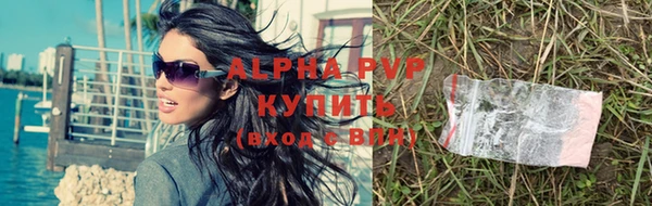 ГАЛЛЮЦИНОГЕННЫЕ ГРИБЫ Бородино