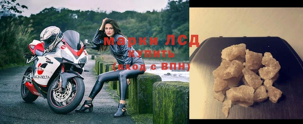 ГАЛЛЮЦИНОГЕННЫЕ ГРИБЫ Бородино