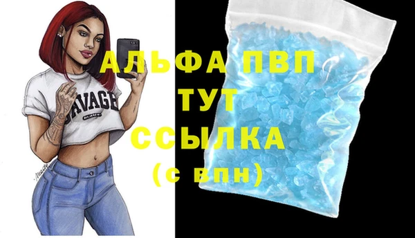 ГАЛЛЮЦИНОГЕННЫЕ ГРИБЫ Бородино