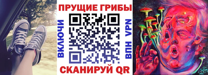 как найти   Холмск  это формула  Псилоцибиновые грибы прущие грибы 